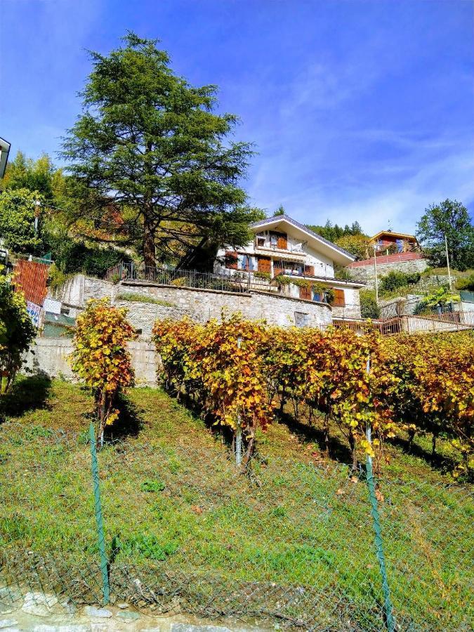 Bioula Cir N 0247 Aosta