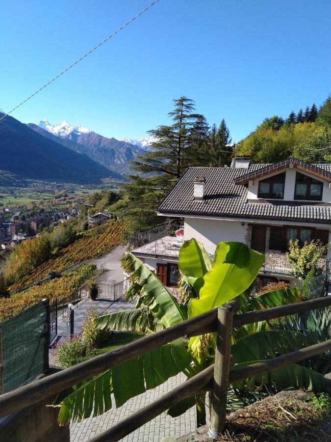 Bioula Aosta